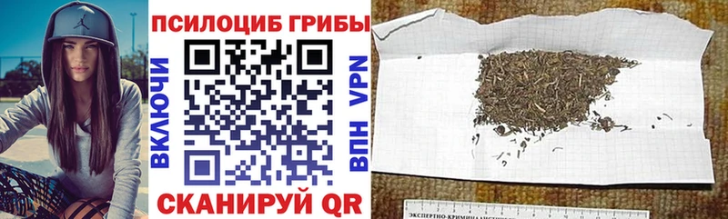 Купить где  Знаменск  Галлюциногенные грибы GOLDEN TEACHER 